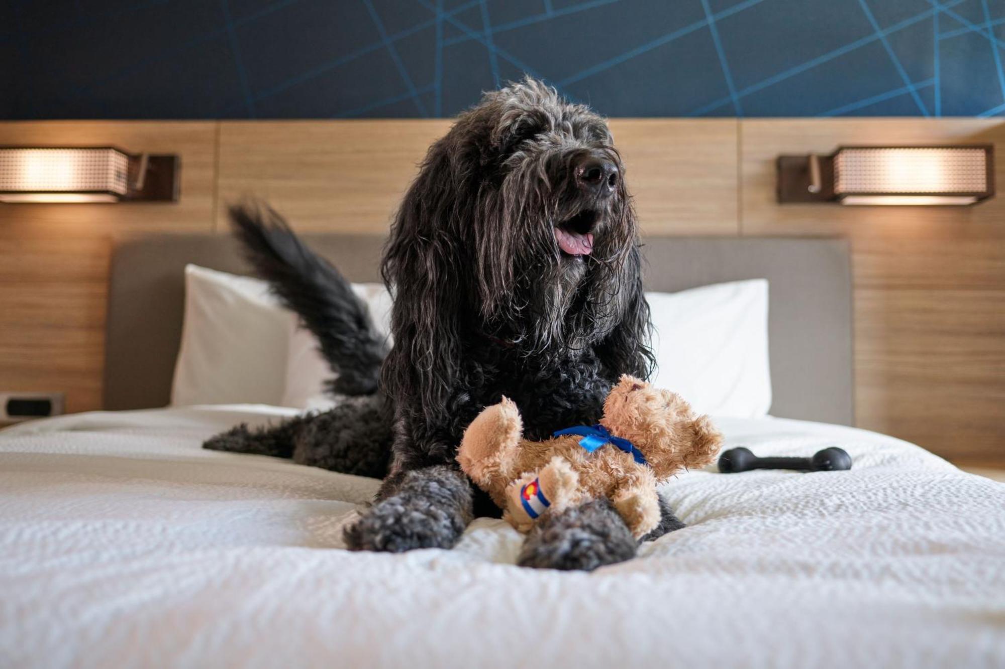 Springhill Suites By Marriott Avon Vail Valley Bagian luar foto